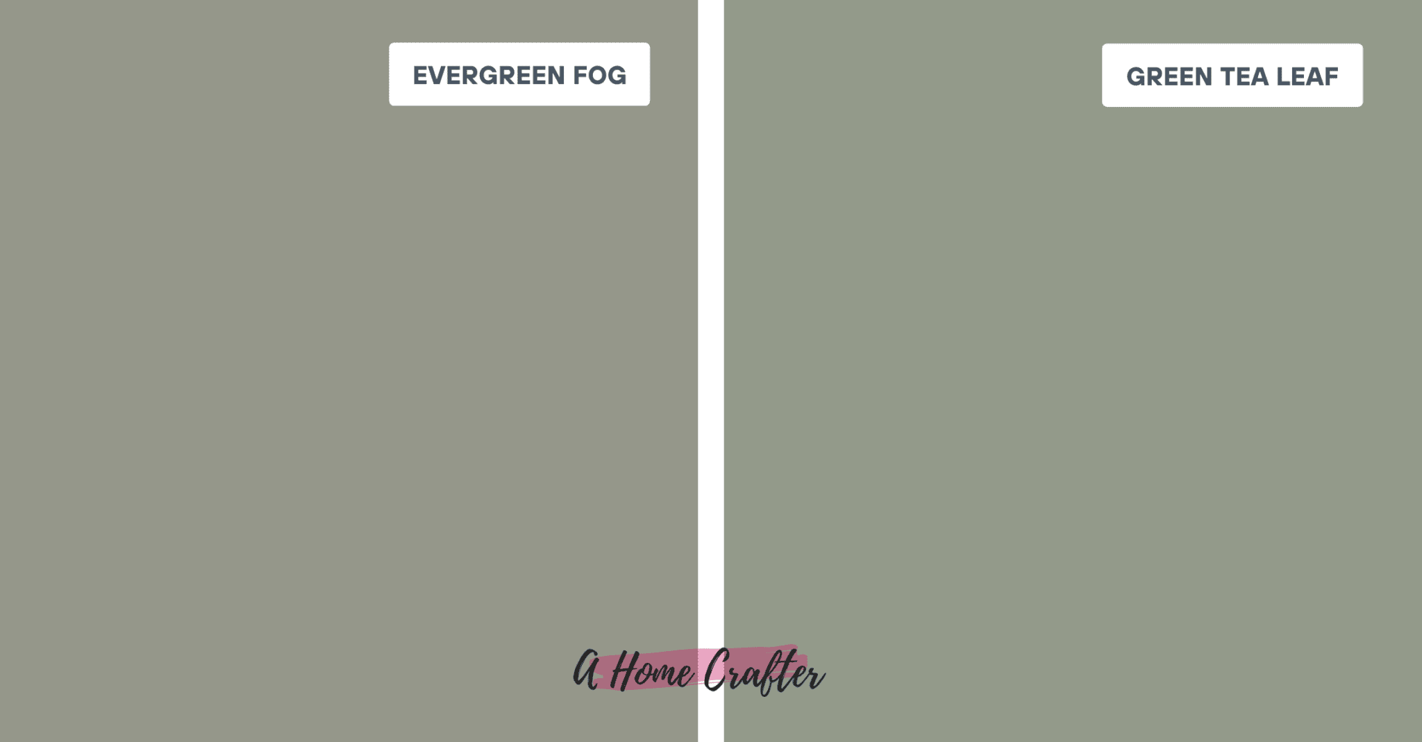 evergreen fog vs. green tea leaf
